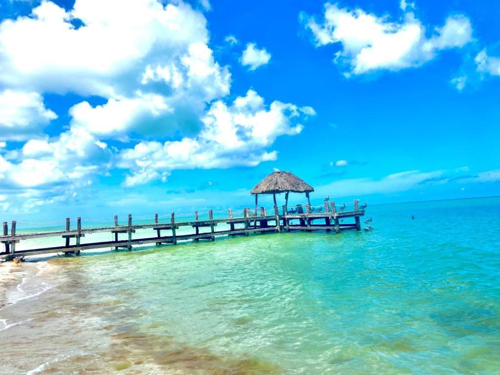 Beachfront Apartment With Swimming Pool. One Bedroom Celestun Exterior foto