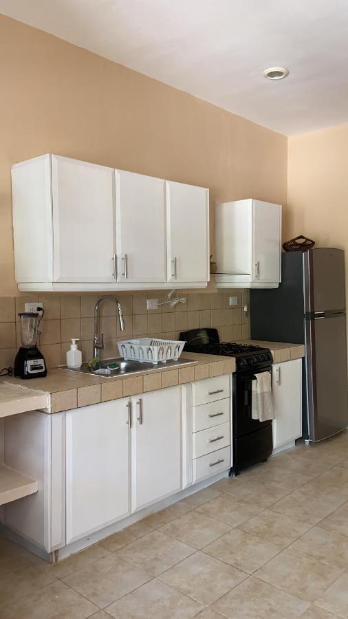 Beachfront Apartment With Swimming Pool. One Bedroom Celestun Exterior foto